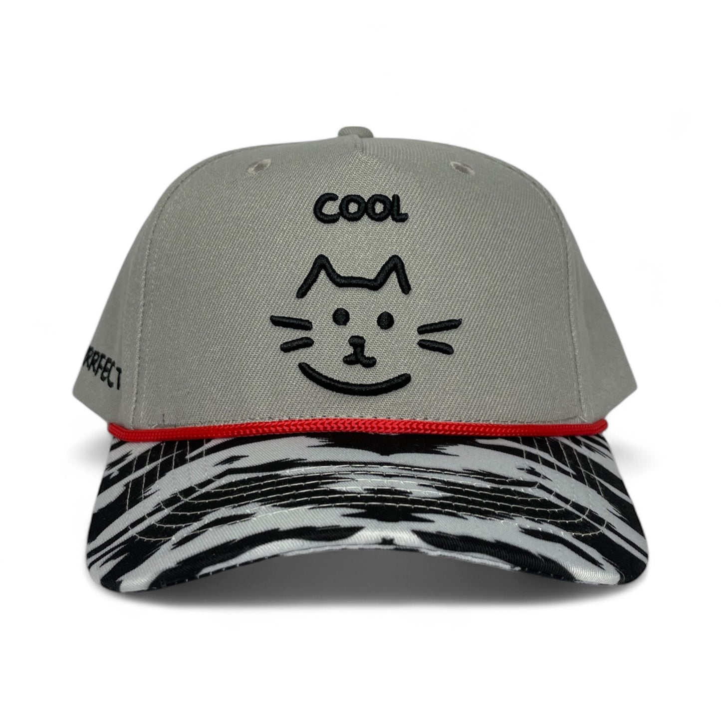 Cool Cat Tabby Vibes