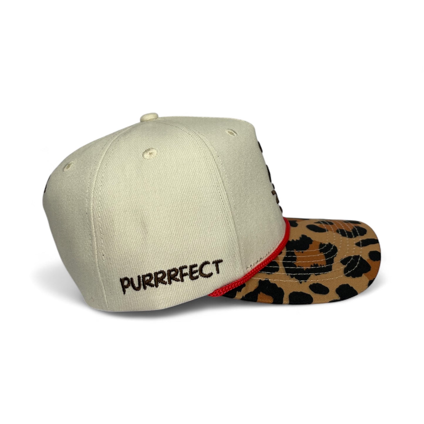 Cool Cat Bengal Vibes